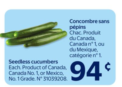 Concombre sans pépins