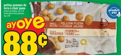 Petites pommes de terre à chair jaune