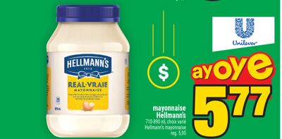 Mayonnaise hellmann's