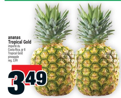 Ananas tropical gold