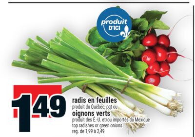 Radis en feuilles oignons verts
