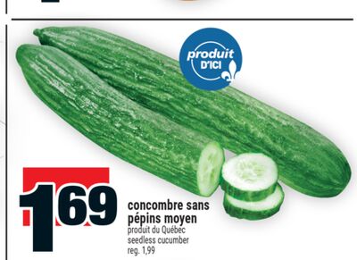 Concombre sans pépins moyen