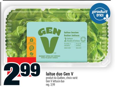 Laitue duo gen v