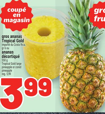 Gros ananas tropical gold
