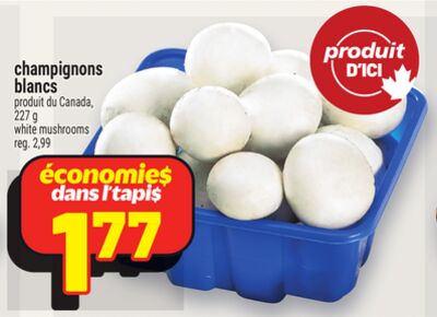 Champignons blancs