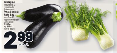 Aubergine ou fenouil (anis) andy boy
