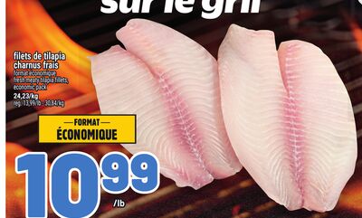 Filets de tilapia charnus frais