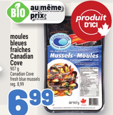 Moules bleues fraîches canadian covecove