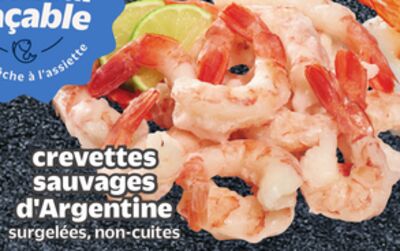 Crevettes sauvages d'argentine