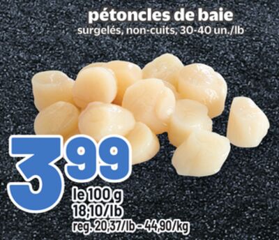 Pétoncles de baie