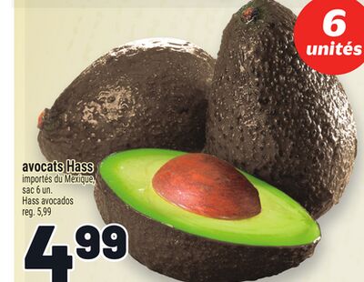 Avocats hass