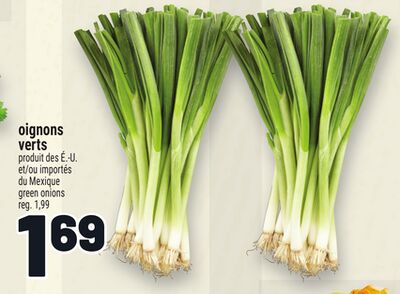 Oignons verts