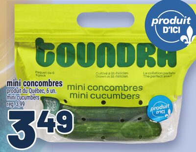 Mini concombres