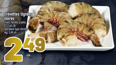 Crevettes tigrées noires