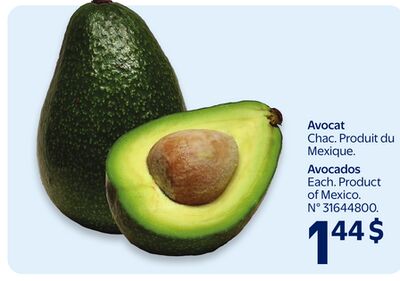 Avocat