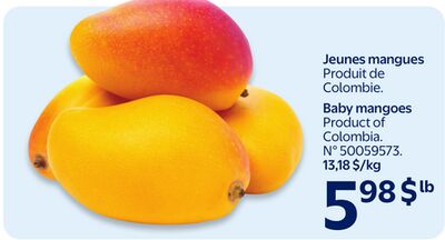 Jeunes mangues