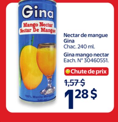 Nectar de mangue gina