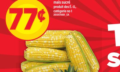 Maïs sucré