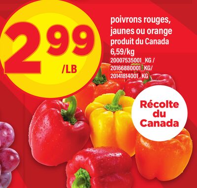 Poivrons rouges, jaunes ou orange