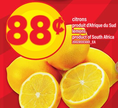 Citrons produit d'afrique du sud