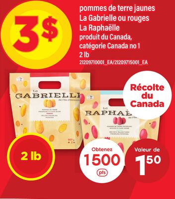 Pommes de terre jaunes la gabrielle ou rouges la raphaëlle, 2 lb