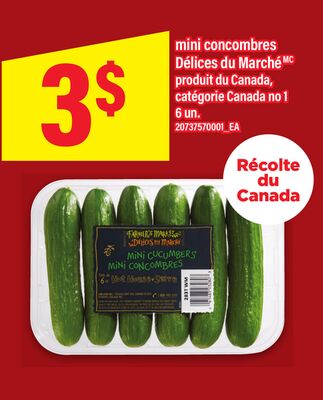 Mini concombres délices du marchémc, 6 un
