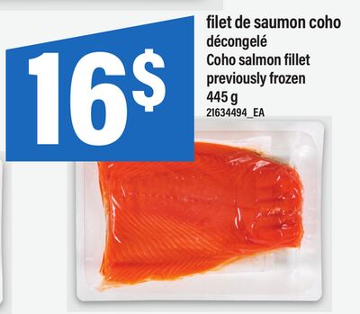 Filet de saumon coho