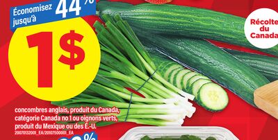 Concombres anglais
