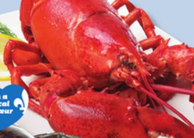 Homard frais cuit