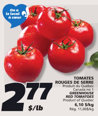 Tomates rouges de serre