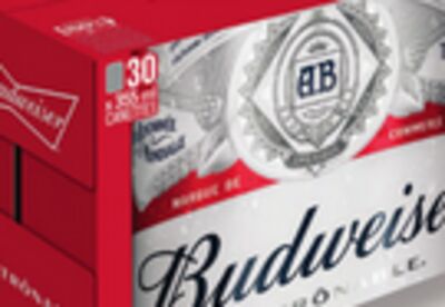 Bière budweiser