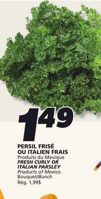 Persil frisé ou italien frais