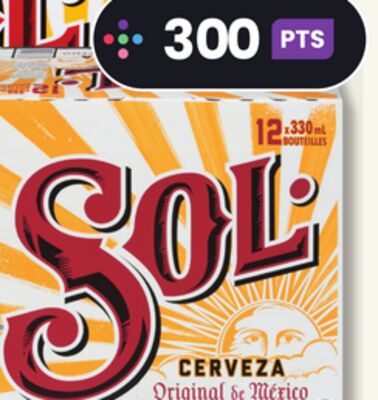 Bière sol