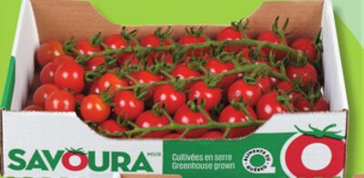 Tomates cerizo