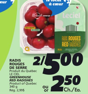 Radis rouges de serre le ciel