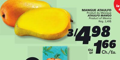 Mangue ataulfo