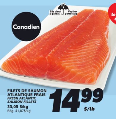 Filets de saumon atlantique frais