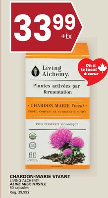 Chardon-marie vivant living alchemy