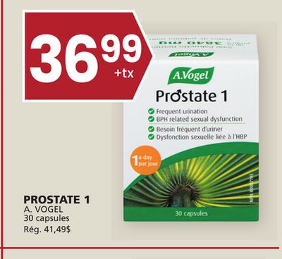 Prostate 1 a. vogel