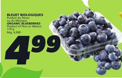 Bleuet biologiques