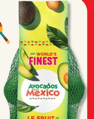 Avocats hass