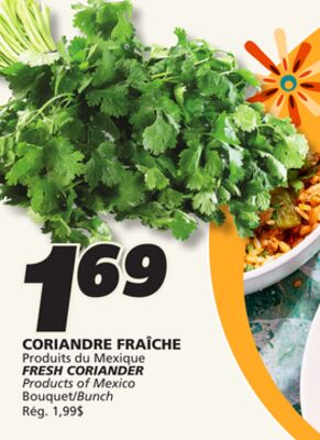 Coriandre fraîche