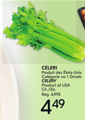 Céleri