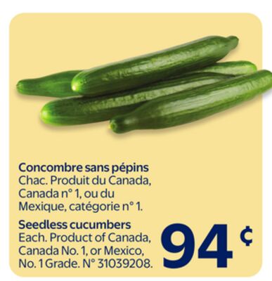 Concombre sans pépins