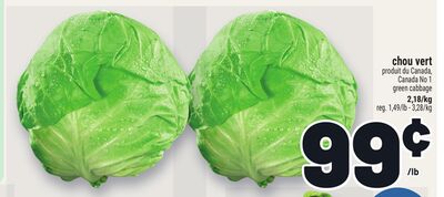 CHOU VERT | GREEN CABBAGE