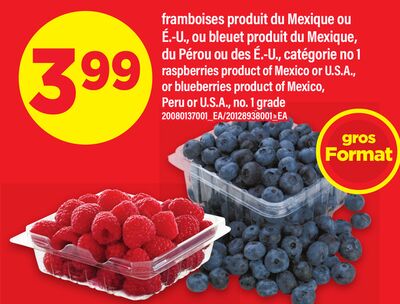 FRAMBOISES OU BLEUET | RASPBERRIES OR BLUEBERRIES