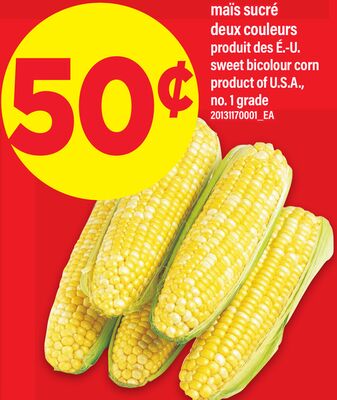 MAÏS SUCRÉ DEUX COULEURS | SWEET BICOLOUR CORN