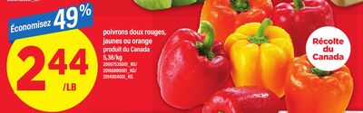 POIVRONS DOUX ROUGES, JAUNES OU ORANGE