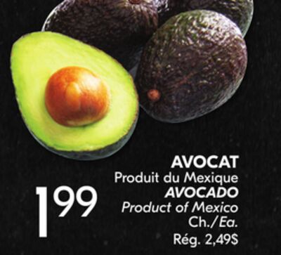 AVOCAT