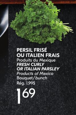 PERSIL FRISÉ OU ITALIEN FRAIS